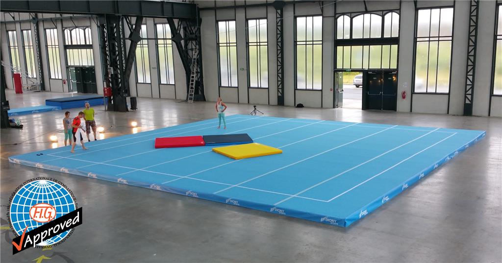 Diony sports Wettkampf-Bodenfläche FIG